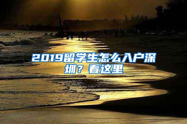 2019留学生怎么入户深圳？看这里