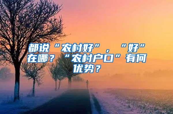 都说“农村好”，“好”在哪？“农村户口”有何优势？