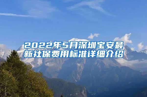 2022年5月深圳宝安最新社保费用标准详细介绍