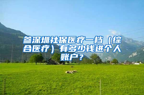 参深圳社保医疗一档（综合医疗）有多少钱进个人账户？