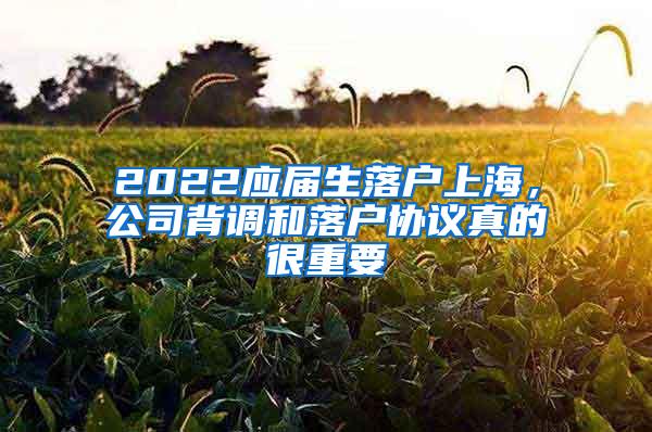 2022应届生落户上海，公司背调和落户协议真的很重要