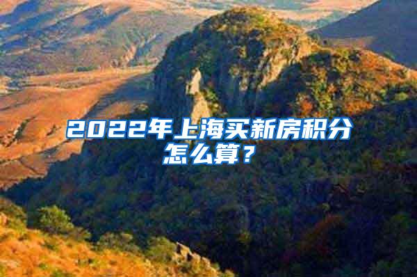 2022年上海买新房积分怎么算？