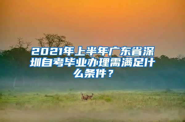 2021年上半年广东省深圳自考毕业办理需满足什么条件？