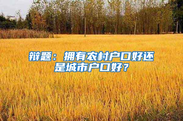 辩题：拥有农村户口好还是城市户口好？