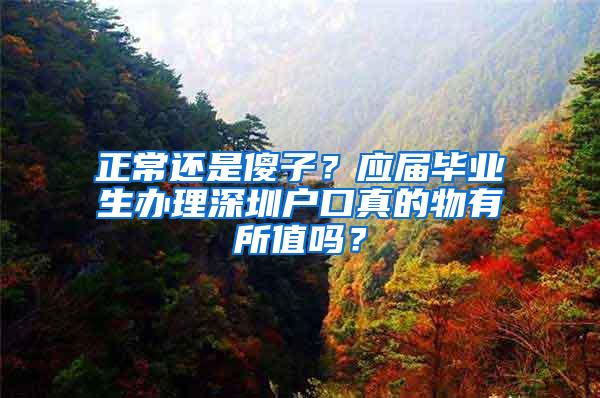 正常还是傻子？应届毕业生办理深圳户口真的物有所值吗？