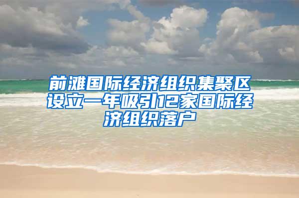 前滩国际经济组织集聚区设立一年吸引12家国际经济组织落户