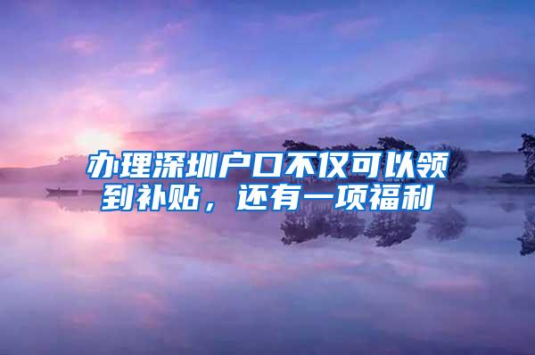 办理深圳户口不仅可以领到补贴，还有一项福利