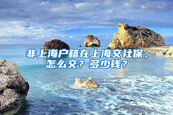 非上海户籍在上海交社保，怎么交？多少钱？