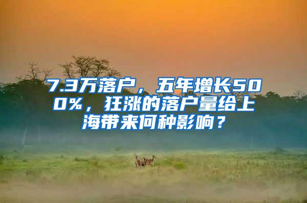 7.3万落户，五年增长500%，狂涨的落户量给上海带来何种影响？