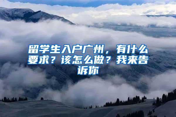 留学生入户广州，有什么要求？该怎么做？我来告诉你