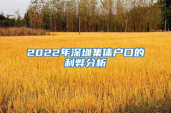 2022年深圳集体户口的利弊分析