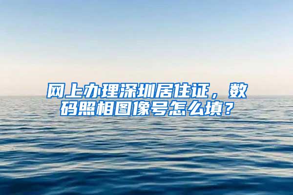 网上办理深圳居住证，数码照相图像号怎么填？