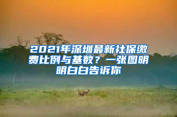 2021年深圳最新社保缴费比例与基数？一张图明明白白告诉你