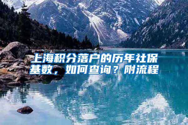 上海积分落户的历年社保基数，如何查询？附流程