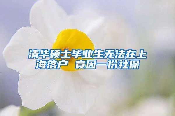 清华硕士毕业生无法在上海落户 竟因一份社保