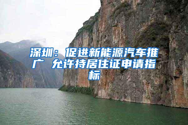 深圳：促进新能源汽车推广 允许持居住证申请指标