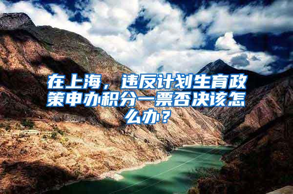 在上海，违反计划生育政策申办积分一票否决该怎么办？