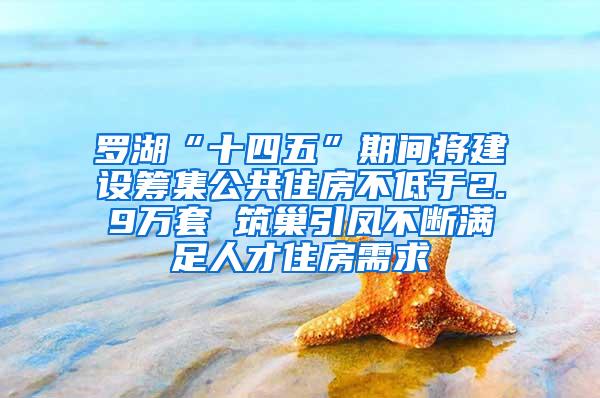 罗湖“十四五”期间将建设筹集公共住房不低于2.9万套 筑巢引凤不断满足人才住房需求