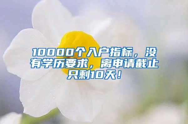 10000个入户指标，没有学历要求，离申请截止只剩10天！