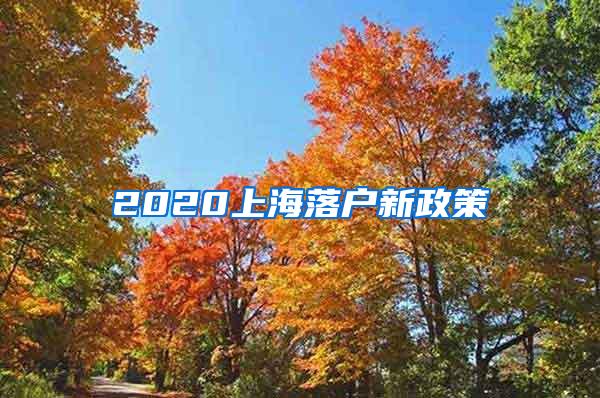 2020上海落户新政策