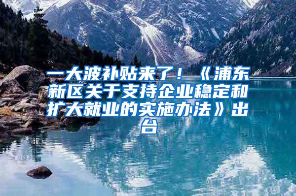 一大波补贴来了！《浦东新区关于支持企业稳定和扩大就业的实施办法》出台