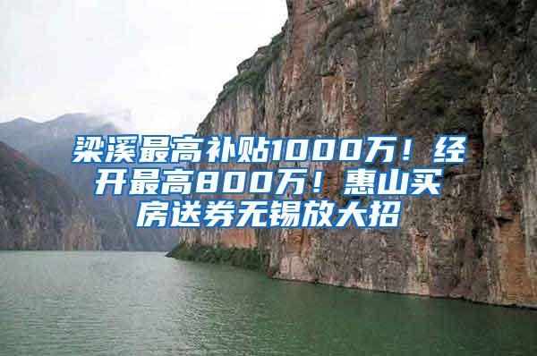 梁溪最高补贴1000万！经开最高800万！惠山买房送券无锡放大招