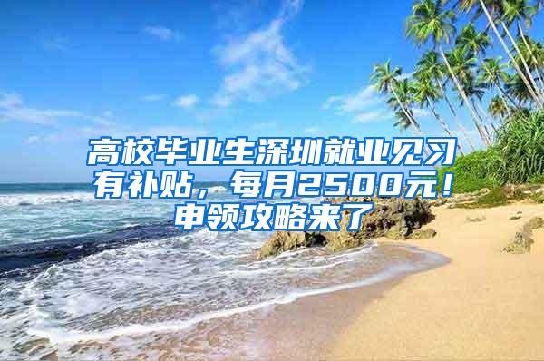 高校毕业生深圳就业见习有补贴，每月2500元！申领攻略来了