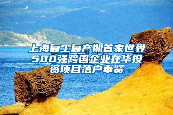 上海复工复产期首家世界500强跨国企业在华投资项目落户奉贤