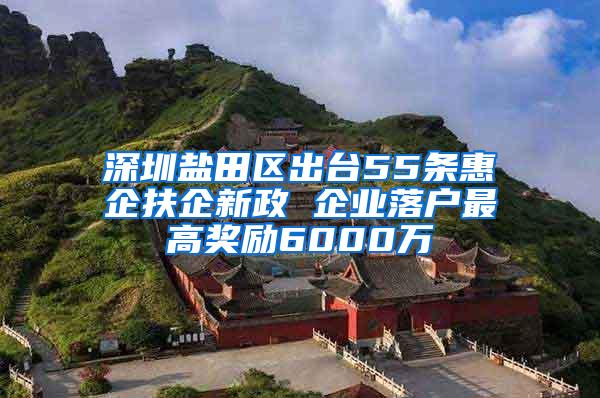 深圳盐田区出台55条惠企扶企新政 企业落户最高奖励6000万