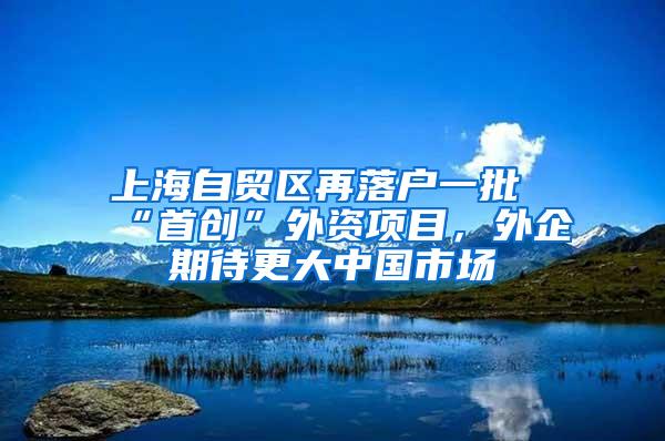 上海自贸区再落户一批“首创”外资项目，外企期待更大中国市场