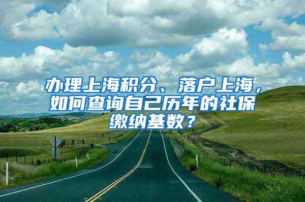 办理上海积分、落户上海，如何查询自己历年的社保缴纳基数？