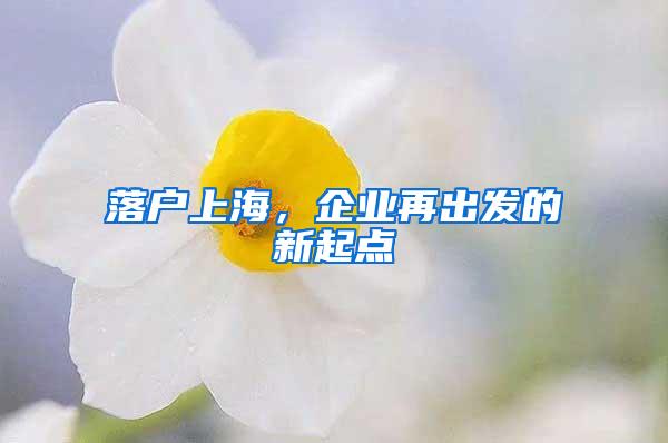 落户上海，企业再出发的新起点