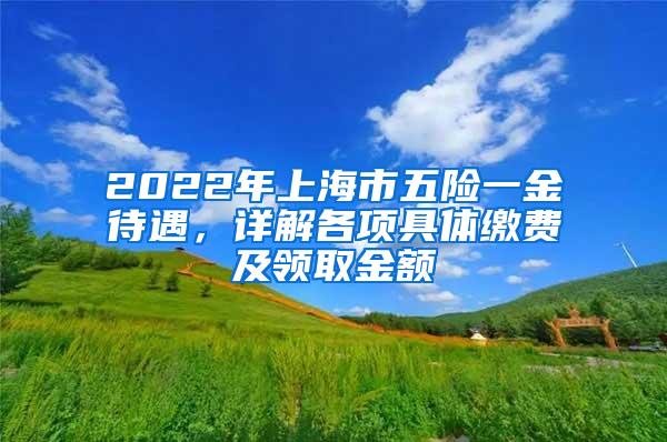 2022年上海市五险一金待遇，详解各项具体缴费及领取金额