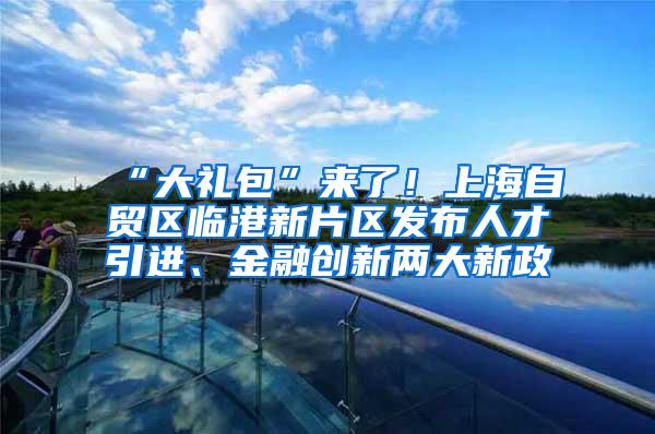 “大礼包”来了！上海自贸区临港新片区发布人才引进、金融创新两大新政