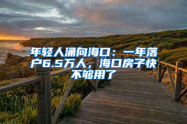 年轻人涌向海口：一年落户6.5万人，海口房子快不够用了