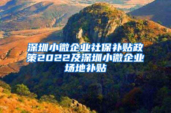 深圳小微企业社保补贴政策2022及深圳小微企业场地补贴