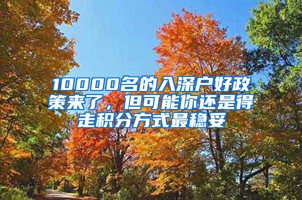 10000名的入深户好政策来了，但可能你还是得走积分方式最稳妥