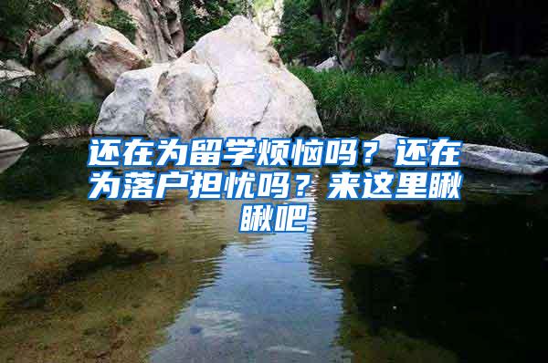 还在为留学烦恼吗？还在为落户担忧吗？来这里瞅瞅吧