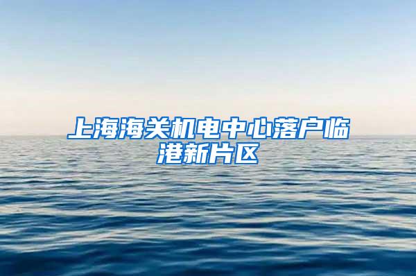 上海海关机电中心落户临港新片区