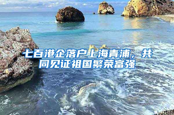 七百港企落户上海青浦，共同见证祖国繁荣富强