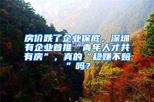 房价跌了企业保底，深圳有企业首推“青年人才共有房”，真的“稳赚不赔”吗？