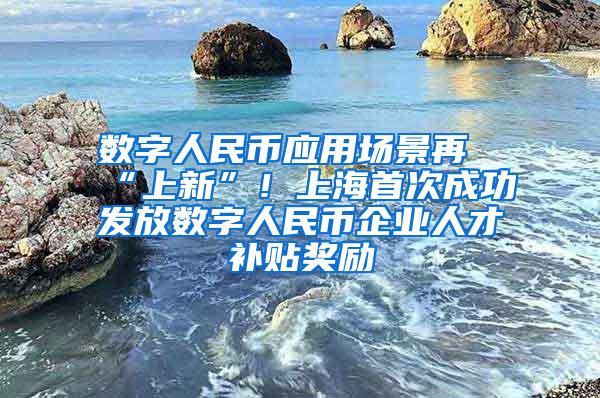 数字人民币应用场景再“上新”！上海首次成功发放数字人民币企业人才补贴奖励