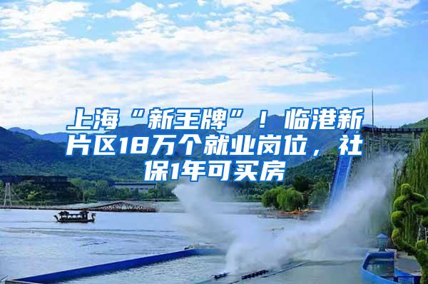 上海“新王牌”！临港新片区18万个就业岗位，社保1年可买房