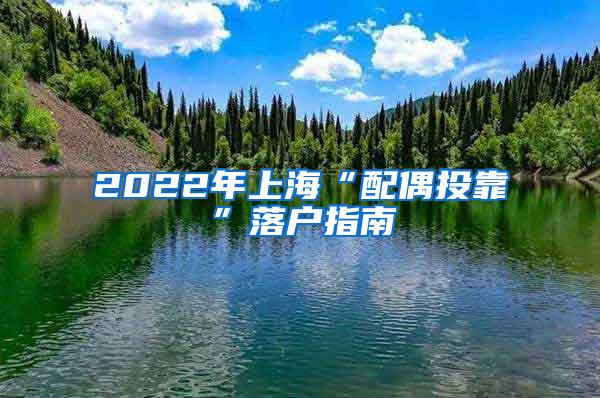 2022年上海“配偶投靠”落户指南