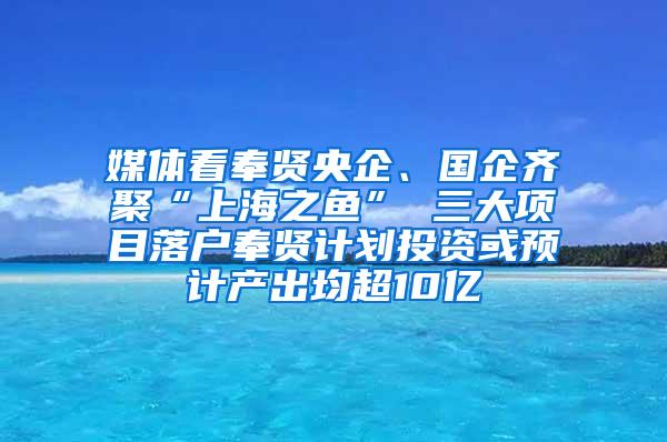 媒体看奉贤央企、国企齐聚“上海之鱼” 三大项目落户奉贤计划投资或预计产出均超10亿