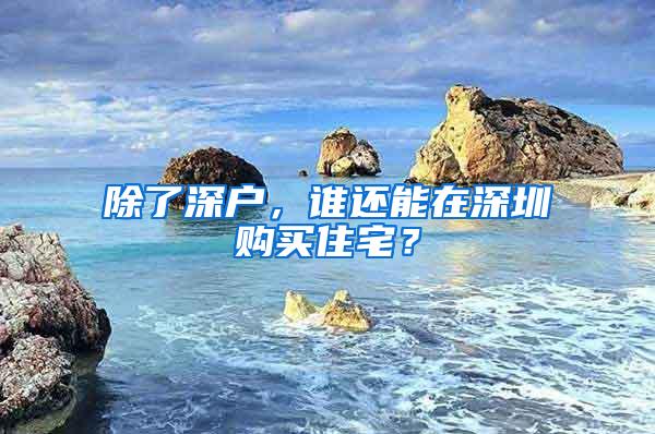 除了深户，谁还能在深圳购买住宅？