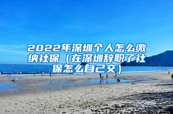 2022年深圳个人怎么缴纳社保（在深圳辞职了社保怎么自己交）