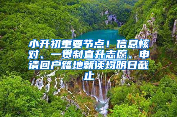 小升初重要节点！信息核对、一贯制直升志愿、申请回户籍地就读均明日截止