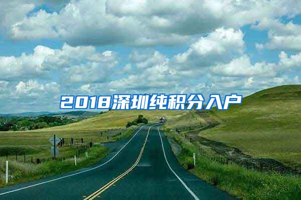 2018深圳纯积分入户