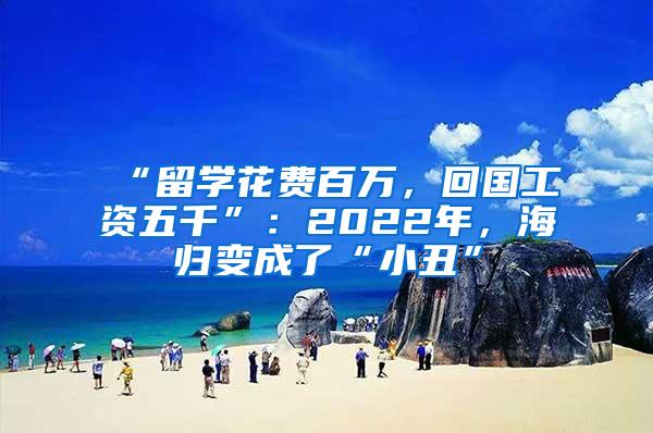 “留学花费百万，回国工资五千”：2022年，海归变成了“小丑”